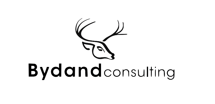 Bydand Consulting logo